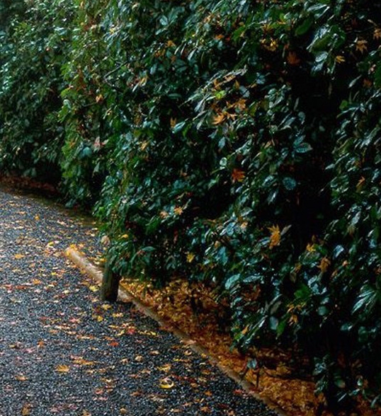 怎样做音频赚钱