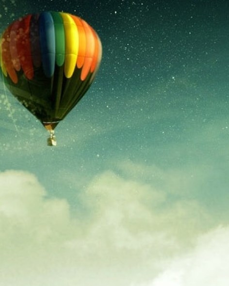 宠物行业成功案例