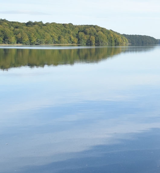 徐哥兼职赚钱方法