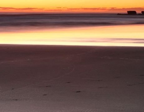 占星骰子符号大全图解