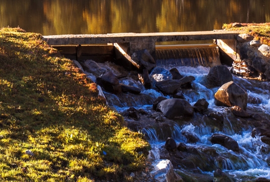 8个最赚钱的餐饮项目