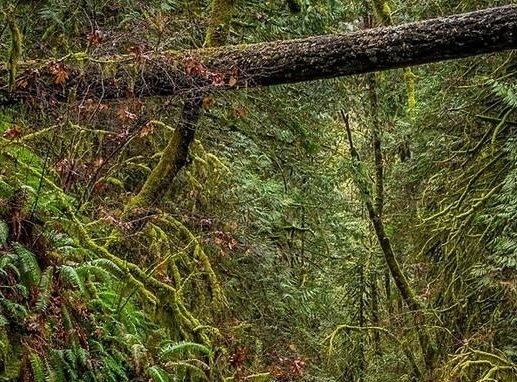 小区内搞什么项目赚钱最快