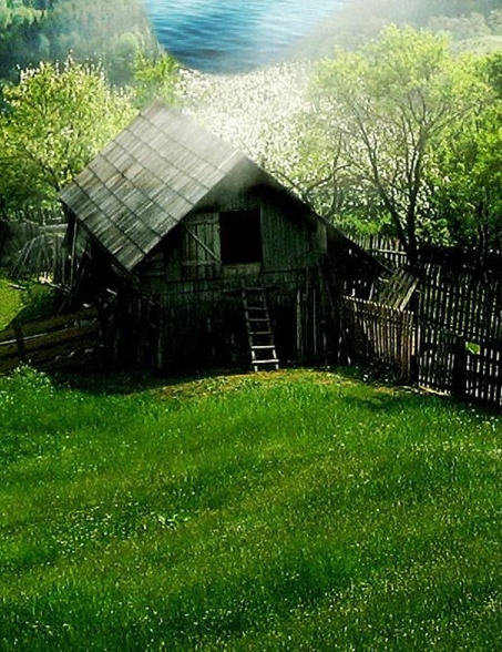 养生号赚钱项目