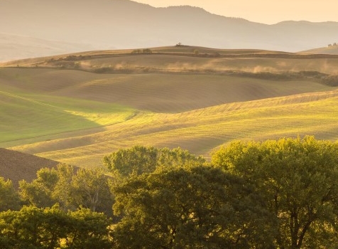 秦皇岛有什么赚钱的项目