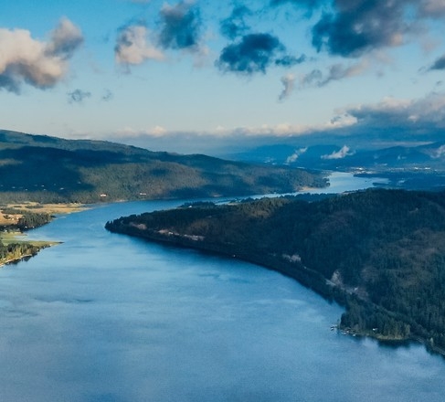 炒股赚钱的真实案例