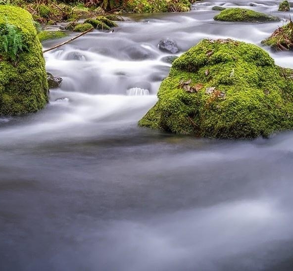 业主和物业因安全问题案例