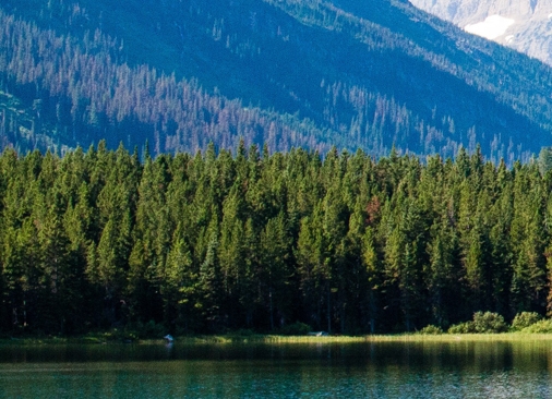 赚钱快又多的方法