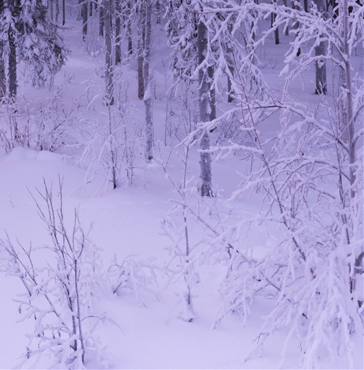 我的心得体会怎么写