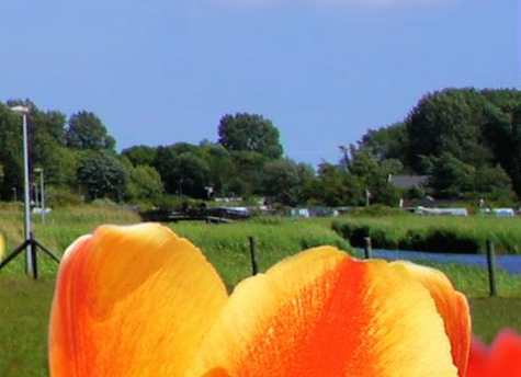 龙之谷赚钱攻略2022