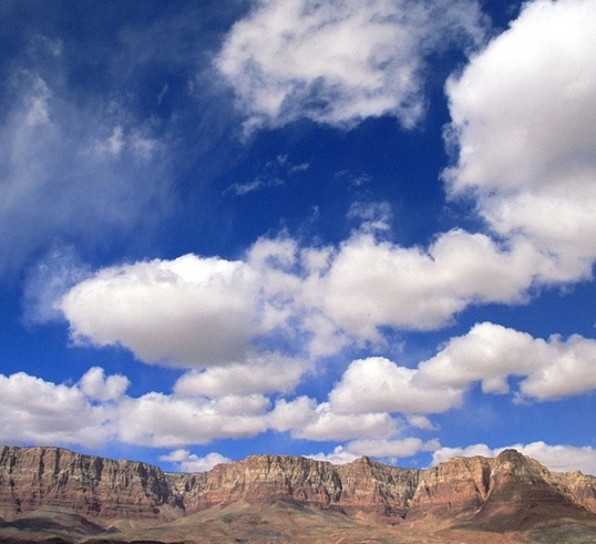 创业最赚钱的行业排名