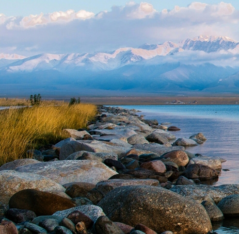 39个副业赚钱项目