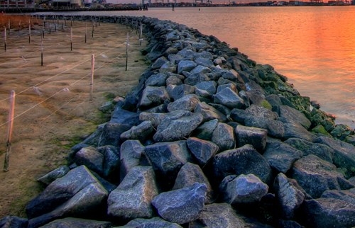 暗局突围农场赚钱方法