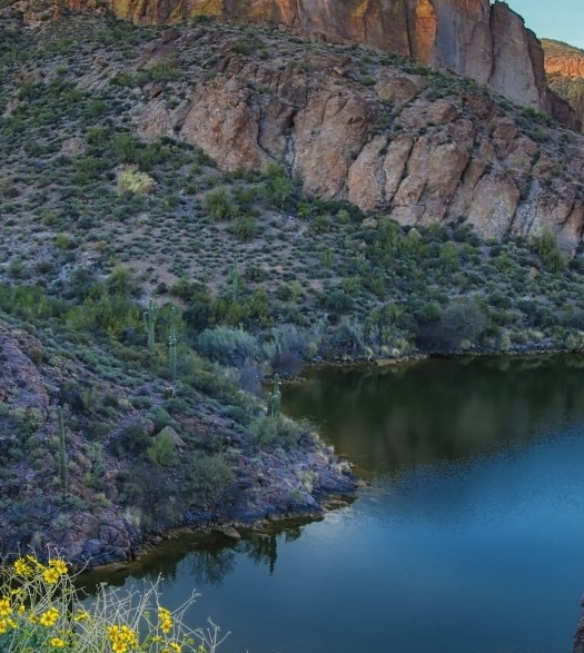 37岁学英语赚钱方法