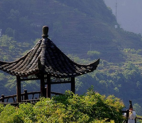 林园赚钱机器心得