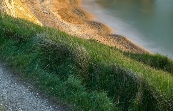 最快赚钱模式案例分享