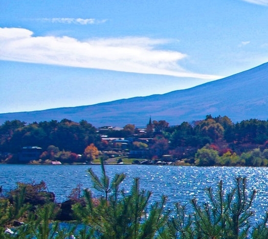 电脑赚钱软件每天50元