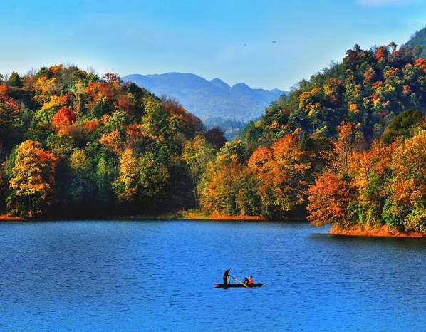 引流赚钱犯法吗