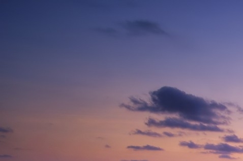 梦幻西游刷场景利润