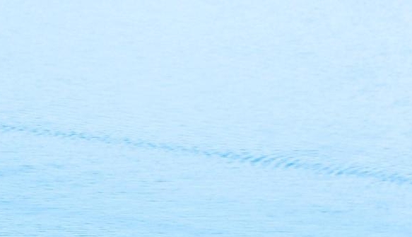 容易赚钱的项目有哪些高校邦