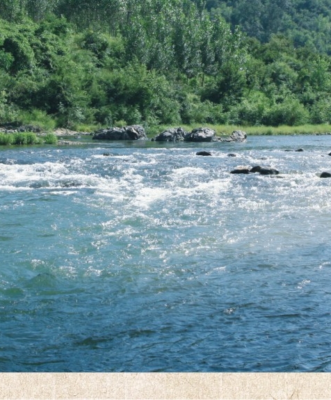 普通人如何利用预制菜赚钱