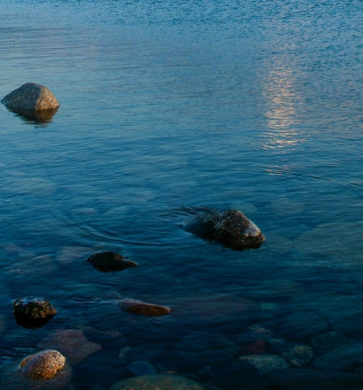 赚钱的技巧都藏在人性里