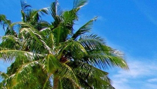 广告赚钱项目介绍模板下载