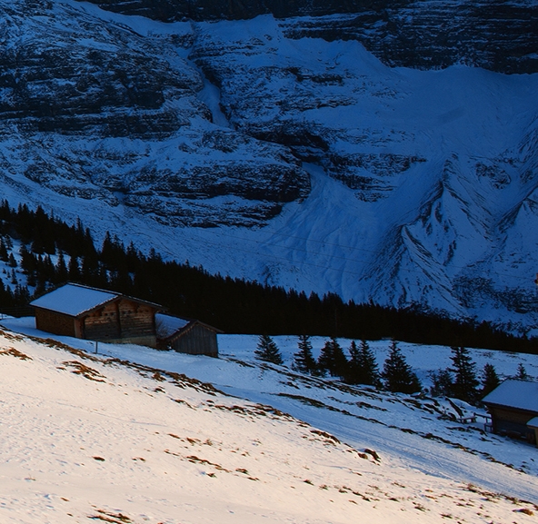 做什么项目好赚钱