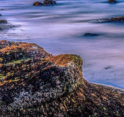 广告赚钱项目背景介绍模板