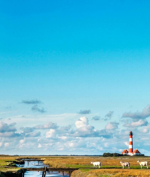 cpa广告赚钱项目有哪些