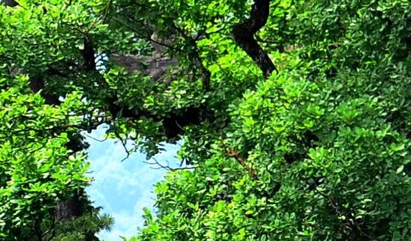 翻倍之路赚钱案例