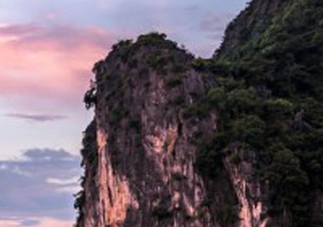 拼多多跑数据赚钱项目