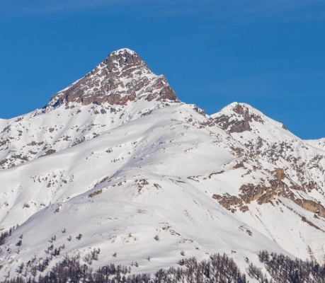 全国食品连锁店加盟项目