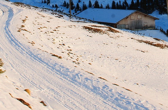 二手回收项目哪种回收最赚钱