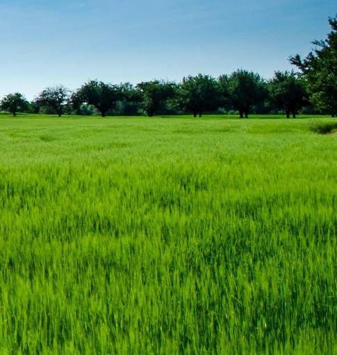 海外抖音不会英语怎么赚钱