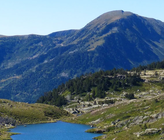 足浴店模式赚钱案例