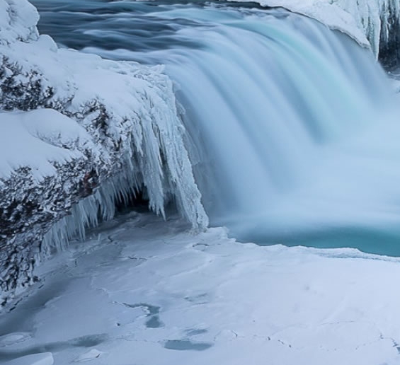 网店有什么好项目