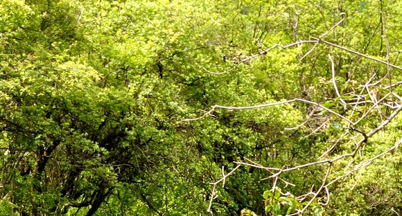 简单赚钱方法有哪些