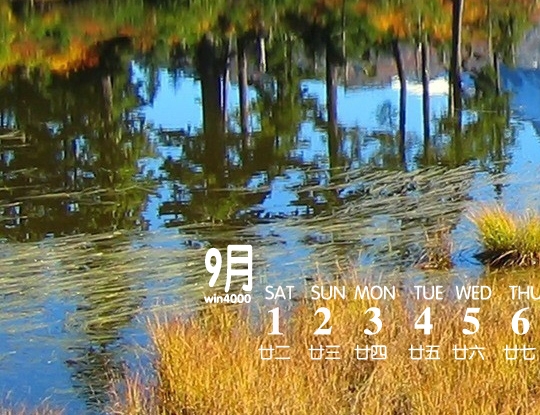 自助洗衣赚钱方法视频