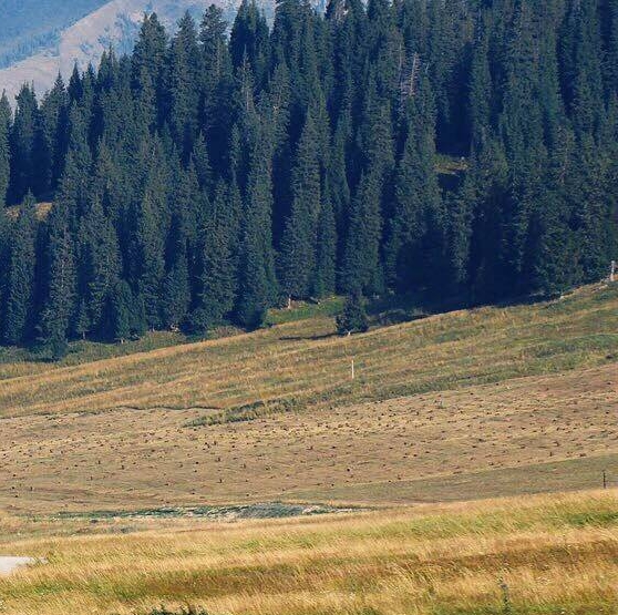 夜晚洗车赚钱案例