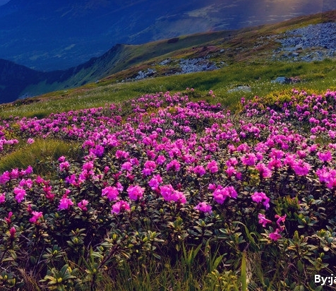 公司培训心得体会总结简短