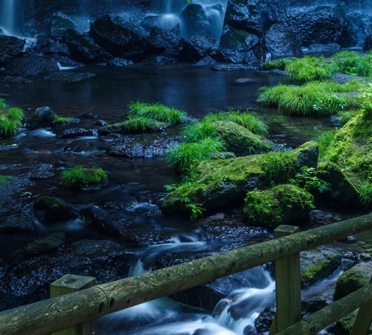 扛杆思维赚钱的案例