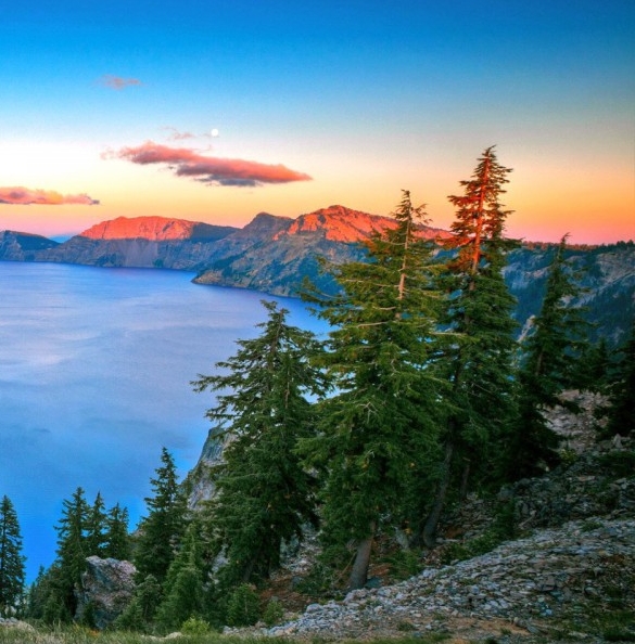 虚值期权平仓可以赚钱吗