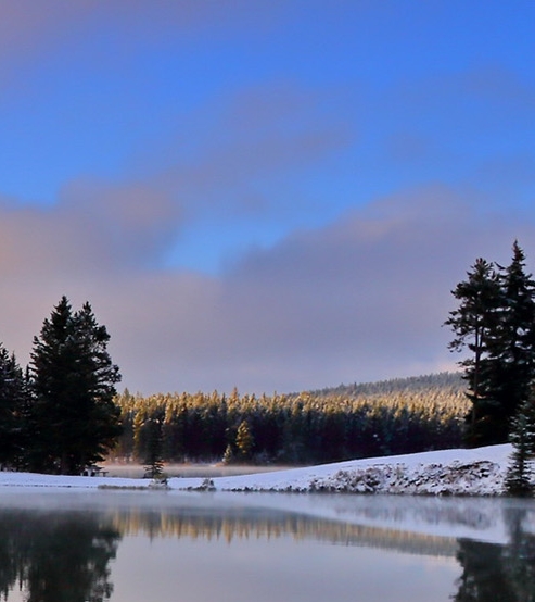 成长股的赚钱逻辑