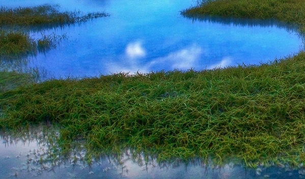 在家赚钱的十五种方法