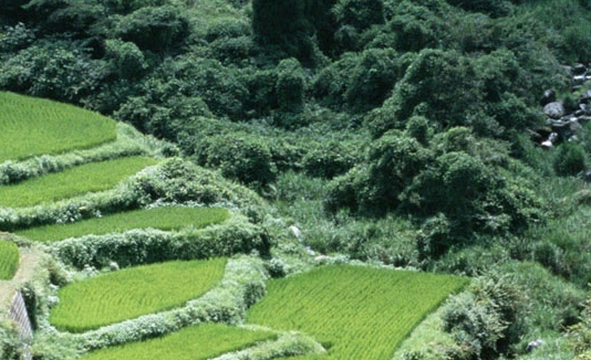 聊聊最赚钱的案例