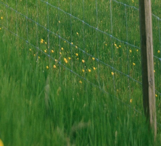 自律人生最赚钱的方法
