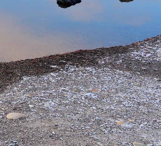梦幻西游能赚钱吗