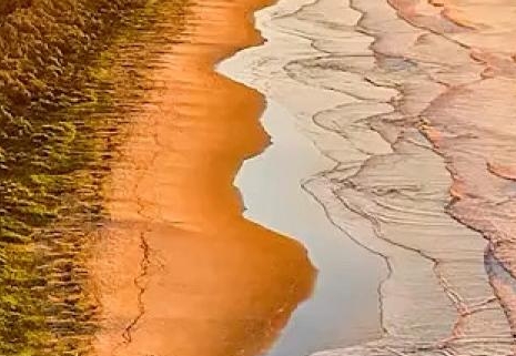 未来最赚钱的商业价值案例