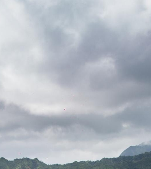 教培运营成功案例