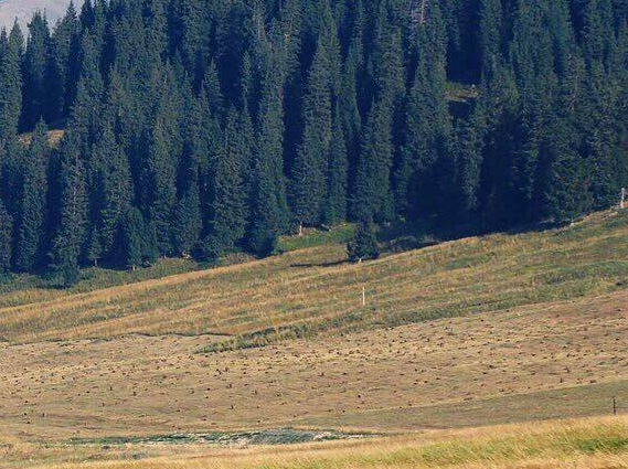 长期买仙股 赚钱案例